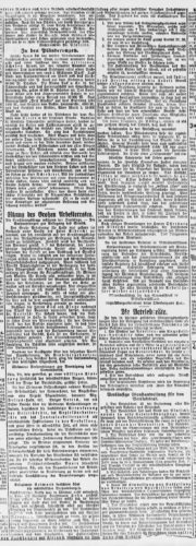 7.3.1919 Sitzung des Großen Arbeiterrates (Hallische Nachrichten)